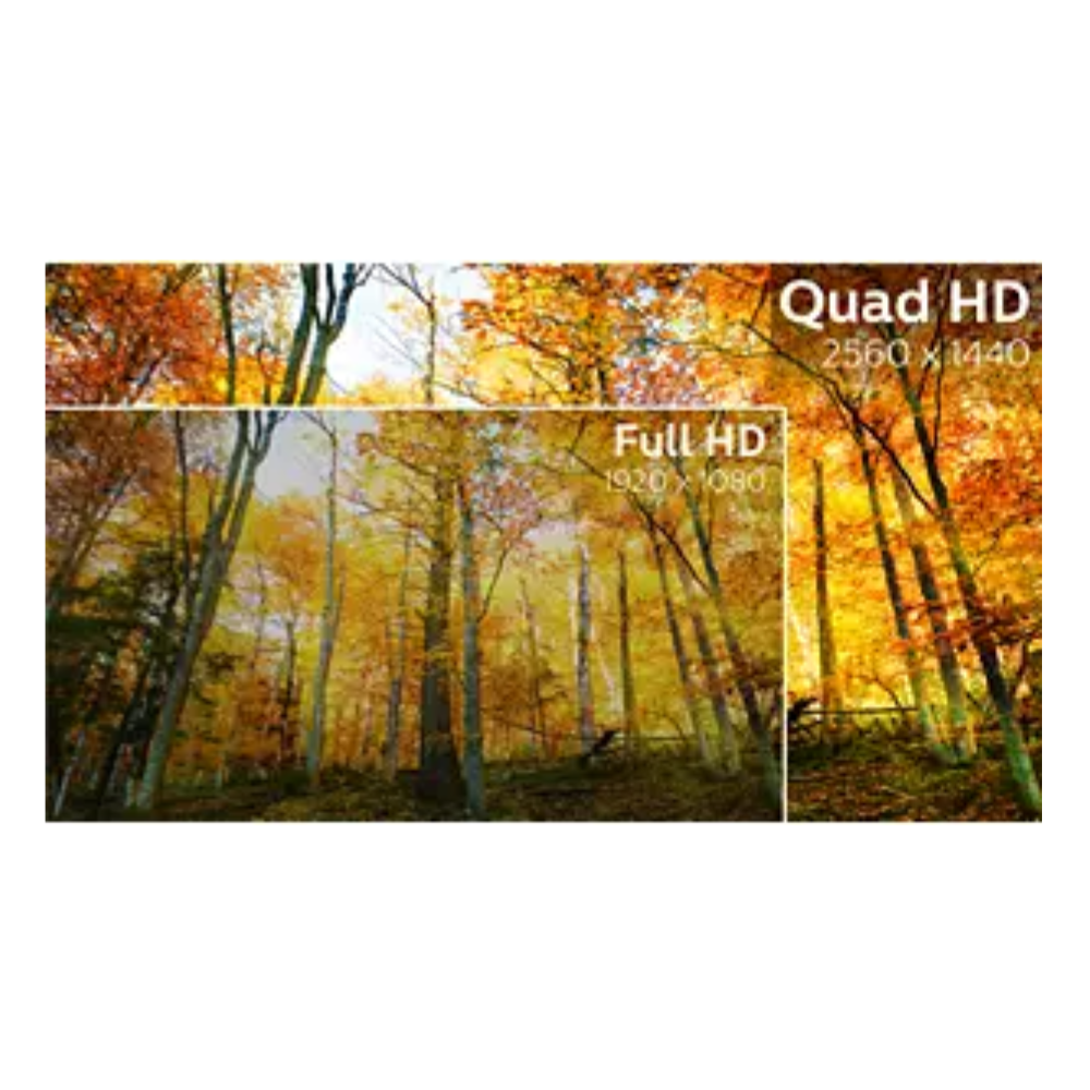 Philips 325B1L/75 32" QHD Business Monitor - 2560X1440 - Height & Pivot Adjustable